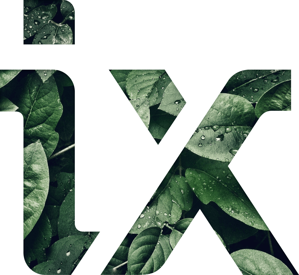 Grande image représentant les lettre I et X (en majuscule) avec un fond de feuilles à l'intérieur